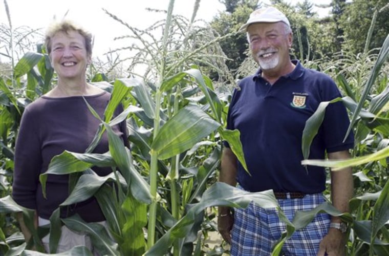 Lucy and Will Tuttle pose in a corn field at the family farm in Dover, N.H., last Thursday. Long regarded as the country's oldest family-run farm, the Tuttle property is up for sale.